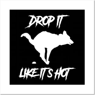 Drop It Like It's Hot Posters and Art